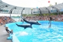 В Украине открылся единственный в Европе отель с дельфинами